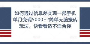 如何通过信息差实现一部手机单月变现5000+?简单无脑搬砖玩法,快看看适不适合你【揭秘】-网创资源总站