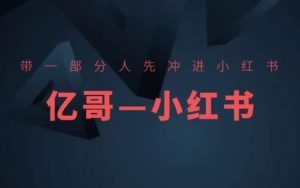 ​​带一部分人先冲进小红书，小红书开店、选品、爆款裂变-网创资源总站