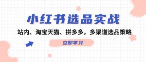小红书选品实战：站内、淘宝天猫、拼多多，多渠道选品策略-网创资源总站