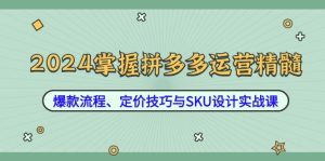2024掌握拼多多运营精髓：爆款流程、定价技巧与SKU设计实战课-网创资源总站