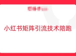 小红书矩阵引流技术，教大家玩转小红书流量-网创资源总站