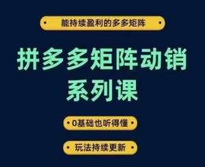 拼多多矩阵动销系列课，能持续盈利的多多矩阵，0基础也听得懂，玩法持续更新-网创资源总站