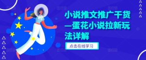 小说推文推广干货—蛋花小说拉新玩法详解-网创资源总站