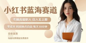 小红书蓝海赛道,圈中高端职场人,月入无上限,可矩阵,内含私域实操教程!-网创资源总站