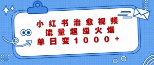 小红书治愈视频,流量超级火爆,单日变现1000+-网创资源总站
