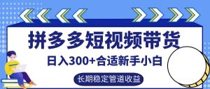 拼多多短视频带货日入300+，实操账户展示看就能学会-网创资源总站