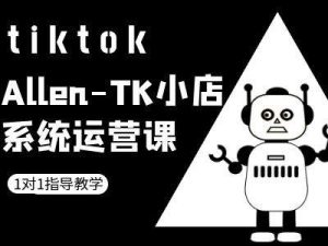 TK小店系统运营课-tiktok跨境电商教程-网创资源总站