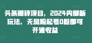 头条搬砖项目，2024内部新玩法，无风险起号0粉即可开通收益-网创资源总站