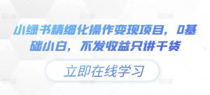 小绿书精细化操作变现项目，0基础小白，不发收益只讲干货-网创资源总站