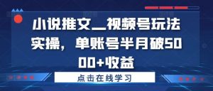 小说推文—视频号玩法实操，单账号半月破5000+收益-网创资源总站