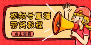 视频号直播带货教程：选品思路与话术拆解/掌握多种带货套路/提升直播效果-网创资源总站