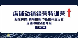店铺动销经营特训营：起店实操/精准拉新/0基础开店运营/店铺动销全面升级-网创资源总站