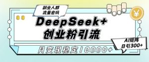 DeepSeek+创业粉精准引流，全新分享课4.0玩法，AI矩阵日引300+，多种变现方式，稳定月入1W-网创资源总站