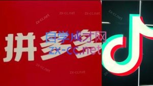 老陶电商·拼多多+抖音小店无货源开店-网创资源总站
