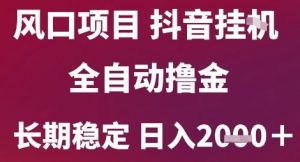 风口项目,六月最新玩法抖音无人挂G,全自动撸金,长期稳定 日入2k+【揭秘】-网创资源总站