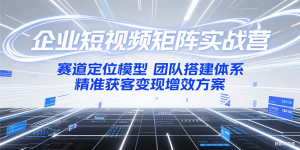 企业短视频矩阵实战营:赛道定位模型+团队搭建体系+精准获客变现增效方案-网创资源总站