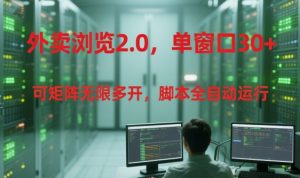 外卖浏览2.0，单窗口30+可矩阵无限多开，脚本全自动运行【揭秘】-网创资源总站