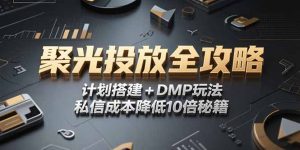 2025小红书聚光投放全攻略，计划搭建+DMP玩法，私信成本降低10倍秘籍-网创资源总站