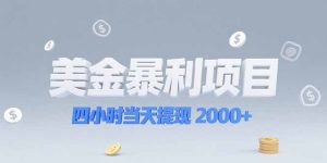 美金暴利项目，四小时当天提现 2000+机会留给会选赛道的人-网创资源总站