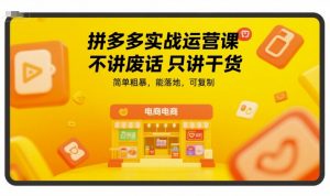 拼多多实战运营课,不讲废话只讲干货,简单粗暴,能落地,可复制-网创资源总站