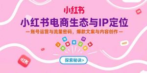 小红书电商生态与IP定位,账号运营与流量密码,爆款文案与内容创作-网创资源总站