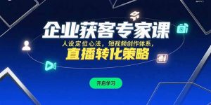 企业获客专家课，人设定位心法，短视频创作体系，直播转化策略-网创资源总站