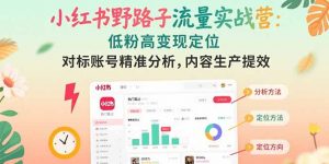 小红书野路子流量实战营：低粉高变现定位 对标账号精准分析 内容生产提效-网创资源总站