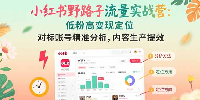小红书野路子流量实战营：低粉高变现定位 对标账号精准分析 内容生产提效-网创资源总站