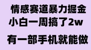 情感暴力掘金项目，新人操作一周挣了2W，长期稳定小白可做【揭秘】-网创资源总站