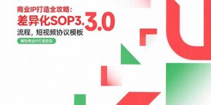 商业IP打造全攻略:差异化SOP3.0流程,短视频协议模板,婚恋项目实战案例-网创资源总站