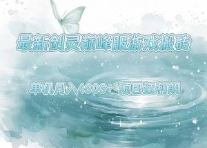 最新剑灵巅峰服游戏搬砖,项目红利期,单机稳定4000+操作简单好上手-网创资源总站