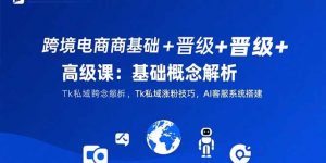 跨境电商基础+晋级+高级课:基础概念解析,Tk私域涨粉技巧,AI客服系统搭建-网创资源总站