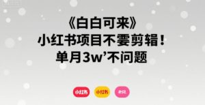 小白可来 小红书项目不需要剪辑 单月3w不是问题-网创资源总站