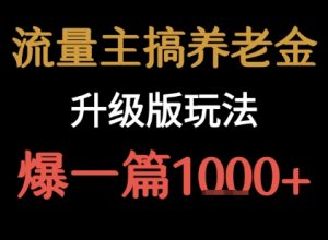 流量主之养老金升级版玩法 爆一篇收益1k+-网创资源总站