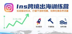 Ins跨境出海训练营，实战驱动玩法，打破不涨粉怪象，玩转社媒自然流量-网创资源总站