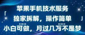 苹果手机技术服务，独家拆解，操作简单，小白可做，月过1W不是梦-网创资源总站