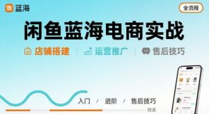 闲鱼蓝海电商实战，店铺搭建运营售后全流程-网创资源总站