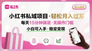 小红书私域项目 月入过W非常轻松 每天15分钟即可搞定，无任何操作门槛，小白可入手-网创资源总站