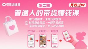 小红书带货第二期训练营,普通人月收过W的带货课,时间自由,零门槛无压货,一部手机即可操作-网创资源总站