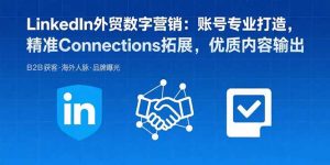 LinkedIn外贸数字营销：账号专业打造，精准Connections拓展，优质内容输出-网创资源总站