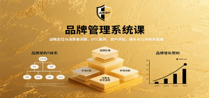 品牌管理系统课：战略定位与消费者洞察，DTC案例、资产评估，增长与公关体系搭建-网创资源总站