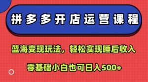 拼多多开店运营课程：蓝海变现玩法，轻松实现睡后收入，零基础小白也可日入5张-网创资源总站
