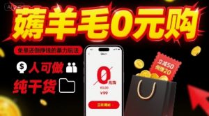 薅羊毛0元购，免单还倒挣钱的暴力玩法，人人可做，纯干货-网创资源总站