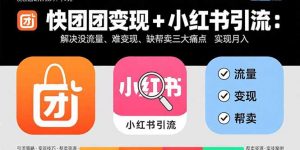 快团团变现+小红书引流：解决没流量、难变现、缺帮卖三大痛点 实现月入3w+-网创资源总站