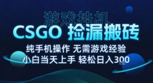 8月最新游戏搬砖,CSGO纯挂G,不需要玩游戏,实现真挂G,月入1W+【揭秘】-网创资源总站