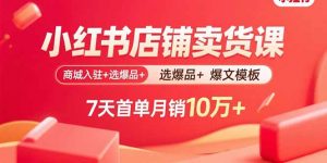 小红书店铺卖货课:商城入驻+选爆品+爆文模板,7天首单月销10万+-网创资源总站