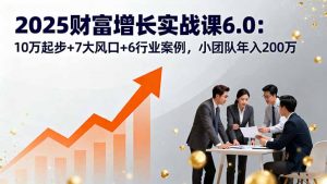 2025财富增长实战课6.0:10万起步+7大风口+6行业案例,小团队年入200万-网创资源总站