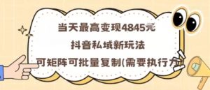 当天最高变现1k+，抖音私域新玩法，可矩阵可批量复制-网创资源总站