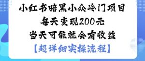 小红书暗黑小众冷门项目每天变现2张当天可能就会有收益-网创资源总站