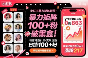 小红书暴力矩阵起号,教你打通引流-变现速通,日锁100+粉,破流量黑盒-网创资源总站
